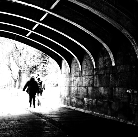 Arcs against the light, Andy Chamings