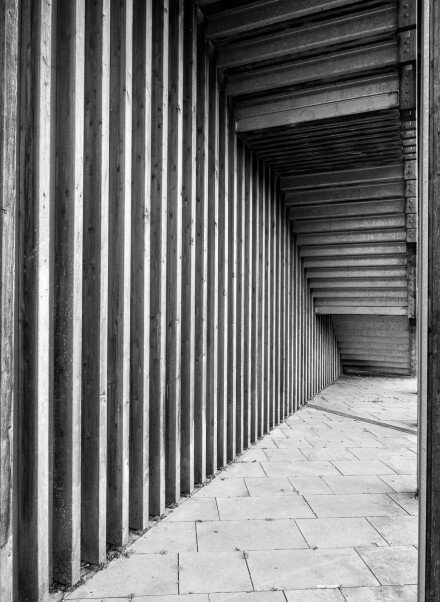 Too many mono lines, Mike Darley