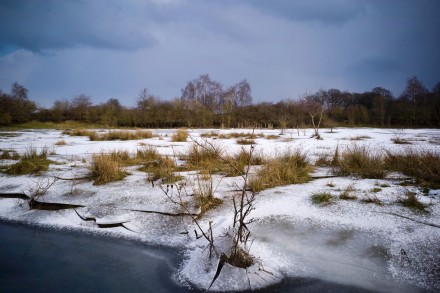 Ice edge, Rob Swallow