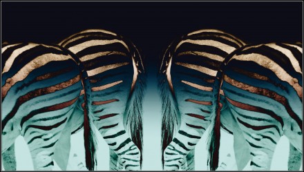 Back to Back, © Solly Levi
