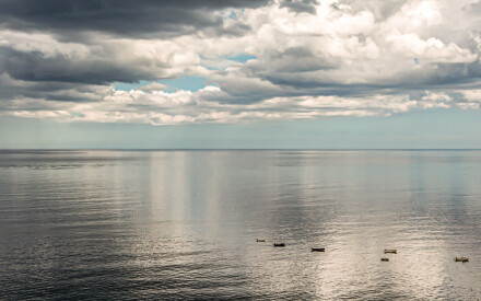 Calm, Alex Davidson