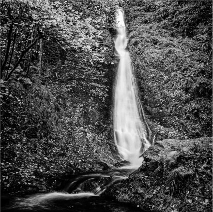 White Tail Waterfall, Lydford Gorge, David Ireland