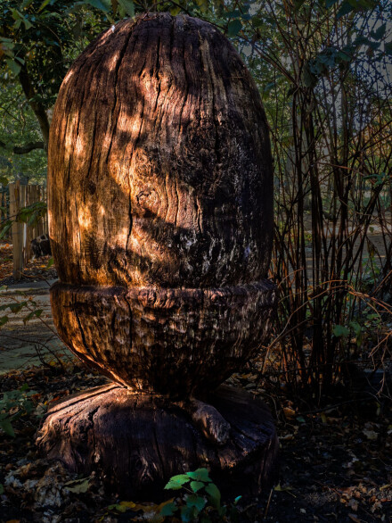 Acorn, Alex Davidson