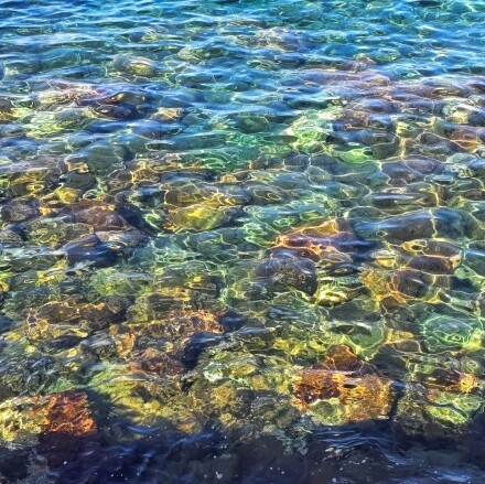 Clear waters, Julia Walton
