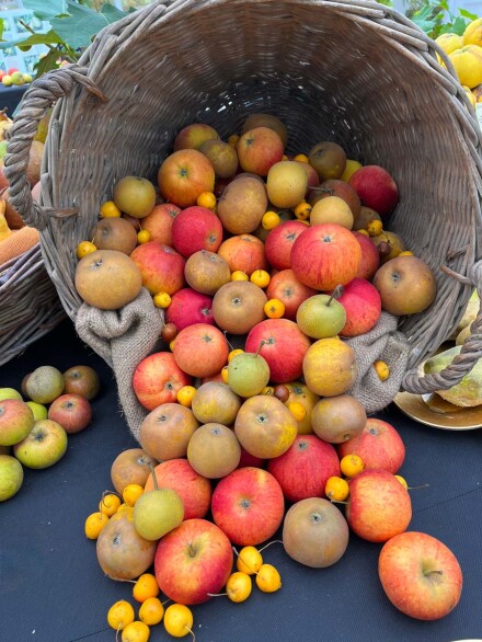 Apples #2, Mike Chapman