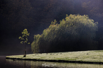 Catching the light, Bryan Torrington
