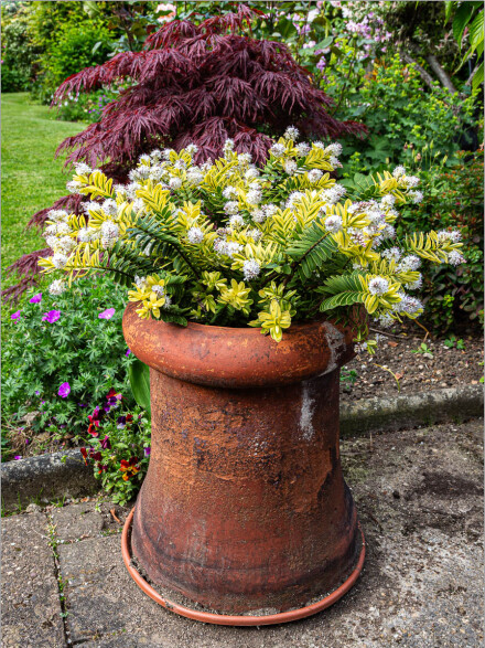 Chimney pot planter, Roger Poyser