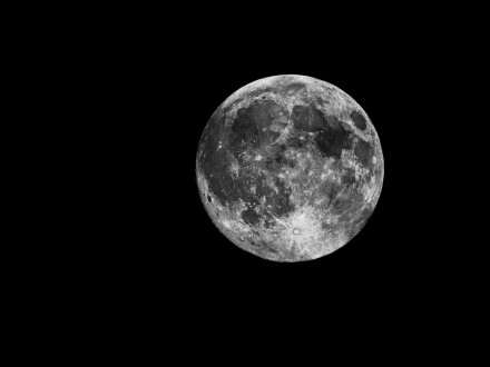 Harvest Moon, Alan Gibson