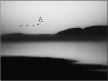 Migration, Andy Chamings