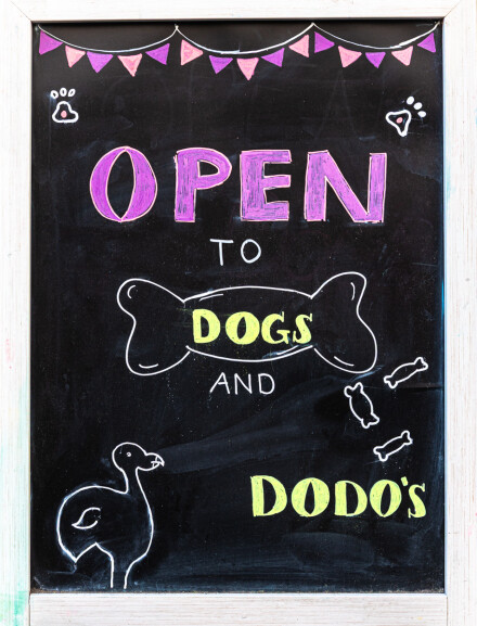 Dog's and Dodo's, Roger Poyser