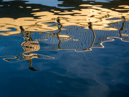 Blue and gold, Kath Turner