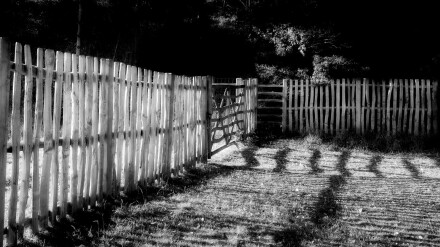 The gate, David Whitham