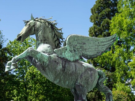 Flying horse, Wendy Darley