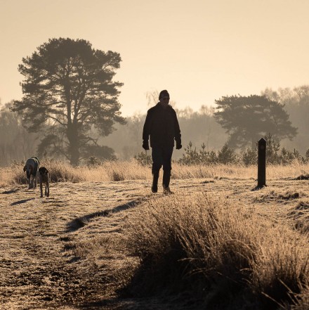 Frosty Sunrise Stroll, Andy Towse