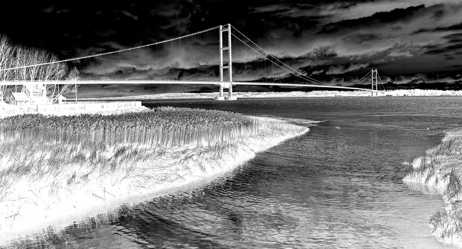 Humber Bridge: Bridge in Negative, David Williamson