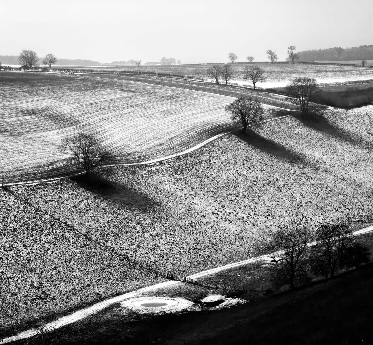 Thixendale: A Winter Wold, David Williamson