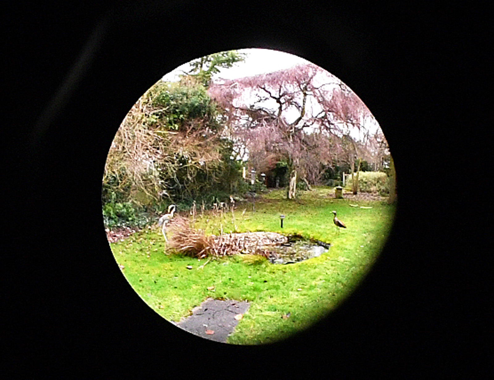 Through a reverse binocular lens, Malcolm Beetham