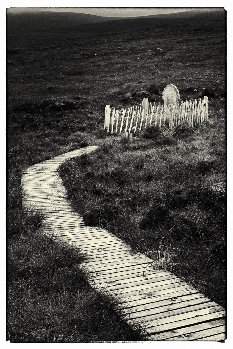 Pathway to Betty Corrigall, David Ireland