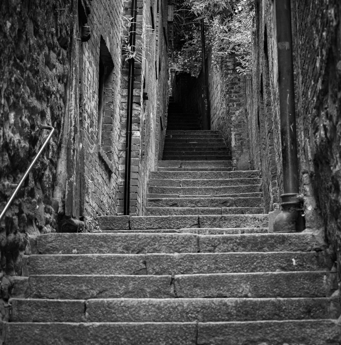 Castle Stairs Pathway, Andy Towse