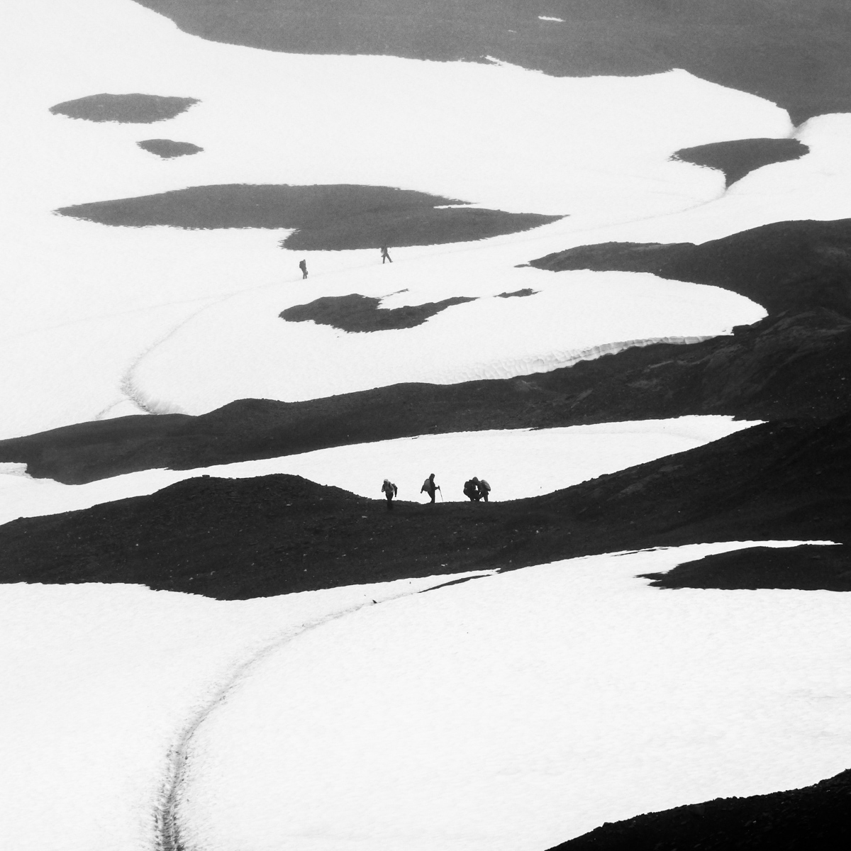 Pathway to the Exit glacier, Carol Clarke