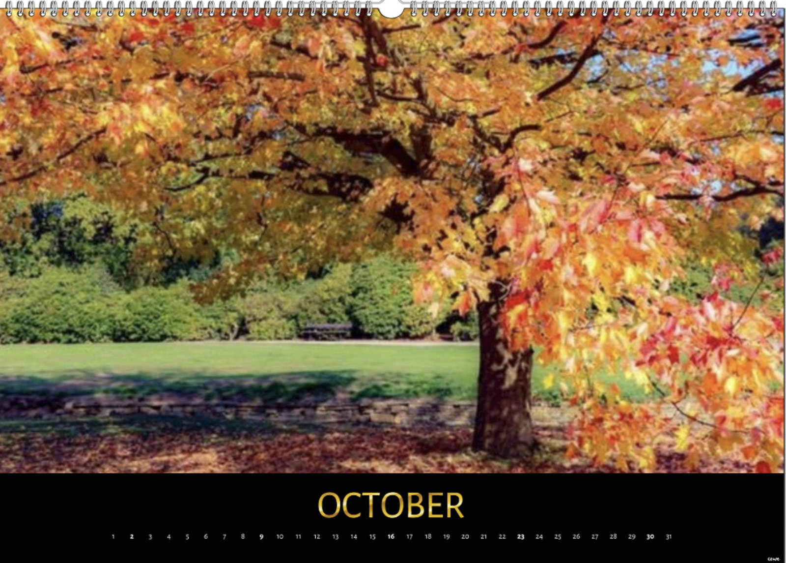 October, Cath Ruane