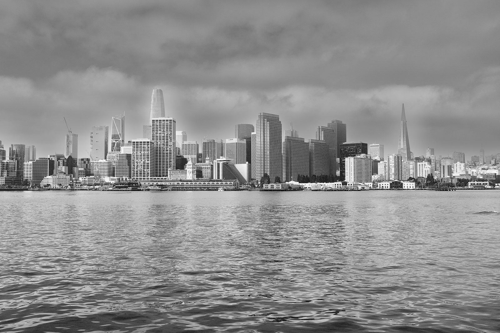 San Fransisco skyline, David Bradley