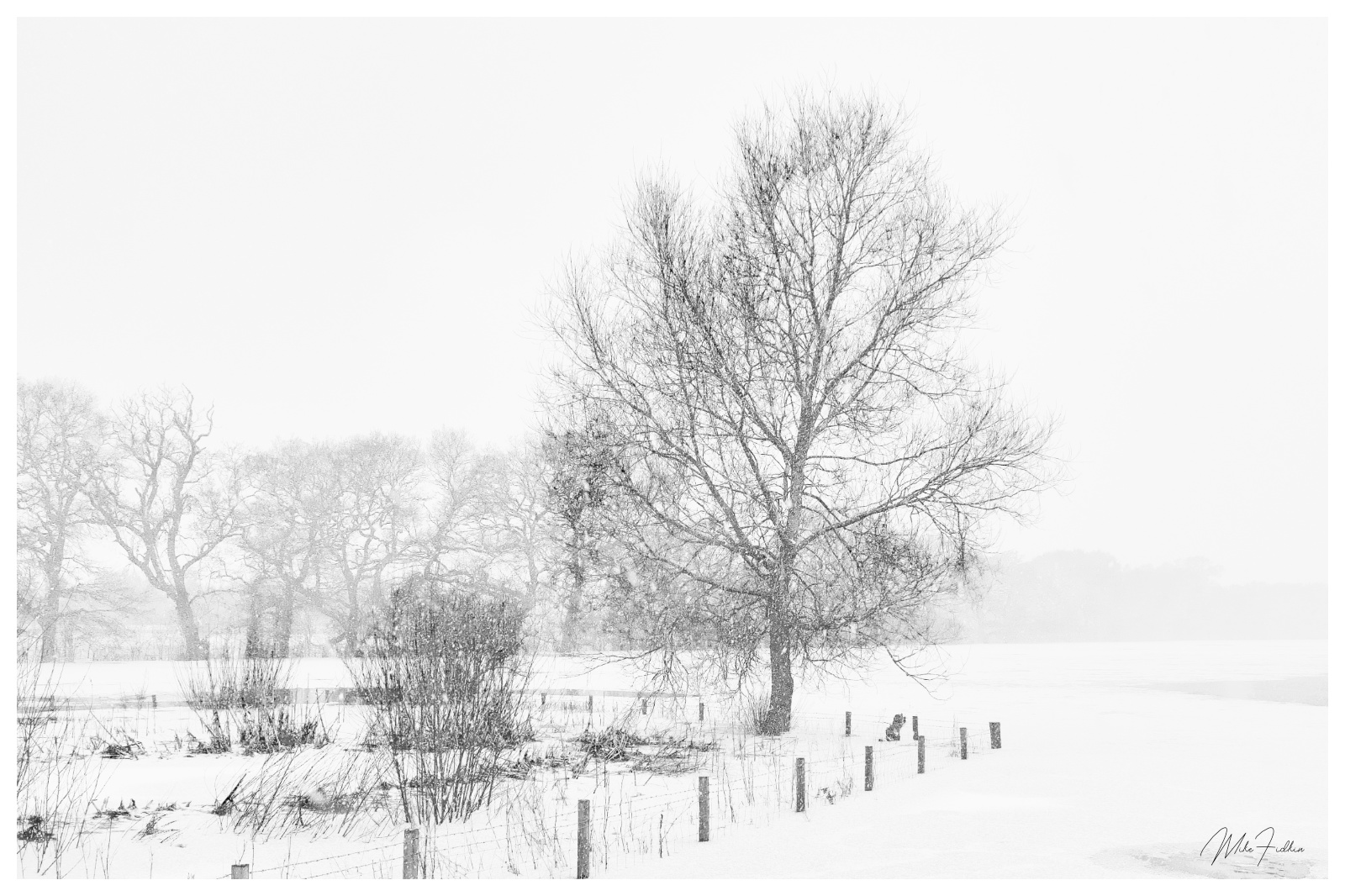 Winter, Mike Fidkin