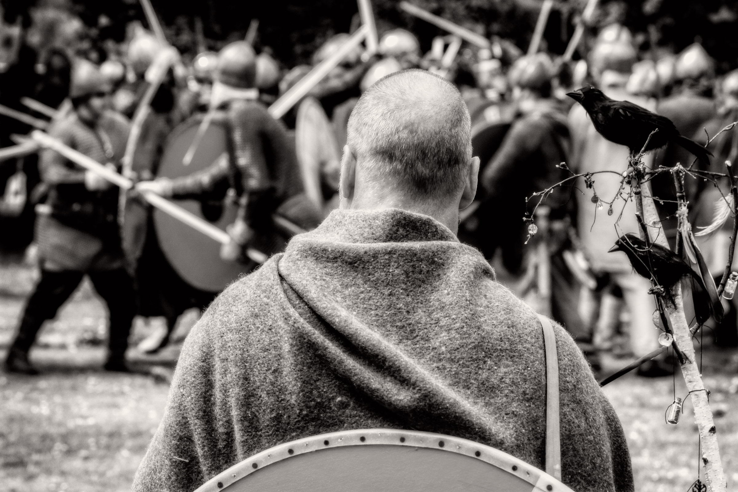 Battle Rages On, Viking York, David Ireland