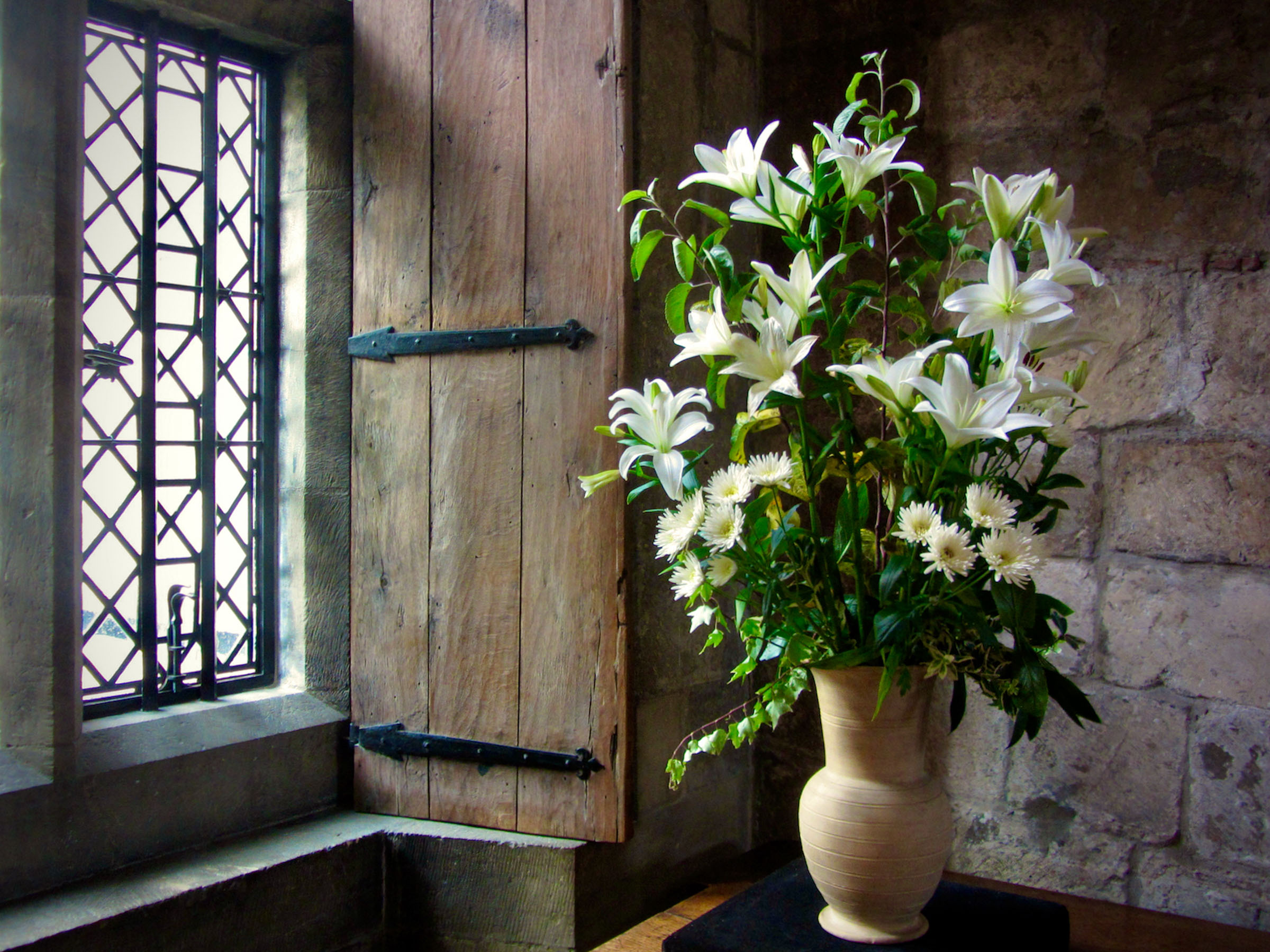 Old Window and Fresh Flowers, Old and New, Jocelyn Hayes