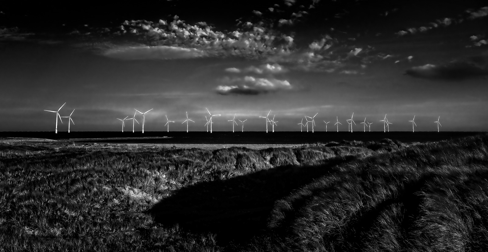Windfarm, David Williamson