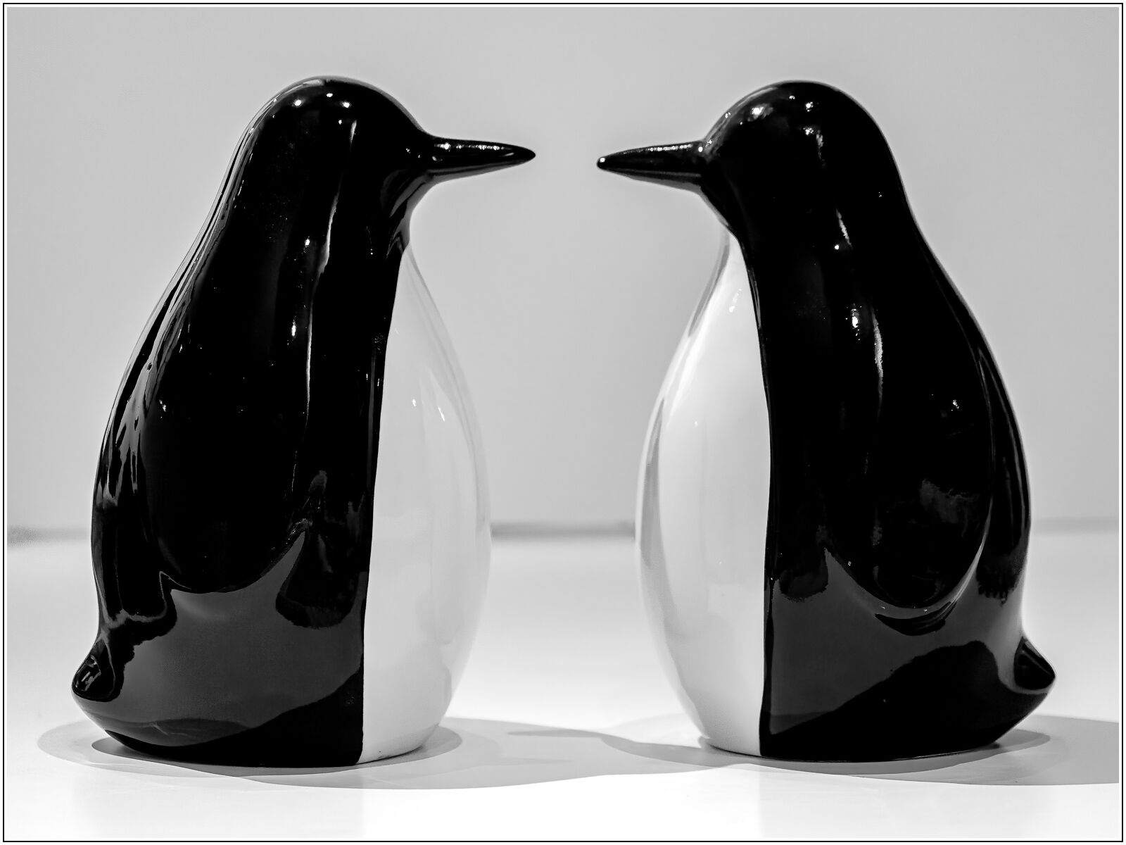 Penguins, John Saunders