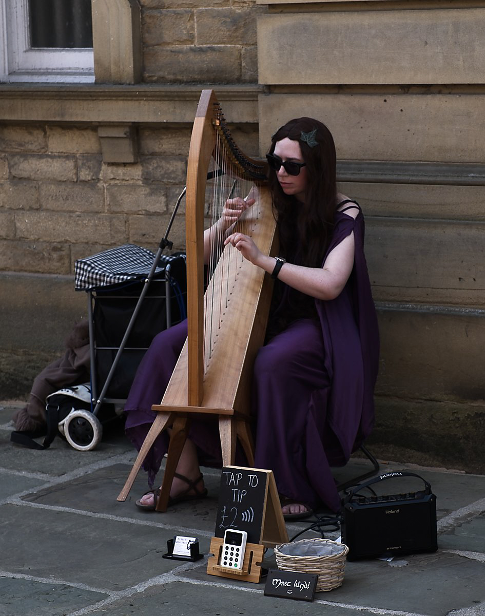 Harpist, David Bradley
