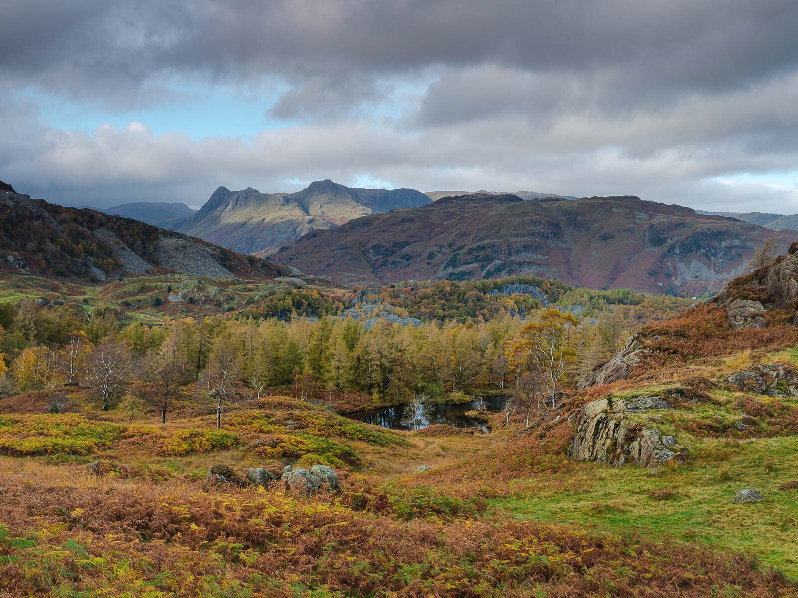 The Langdale Pikes from Holme Fell, Chris Sharples