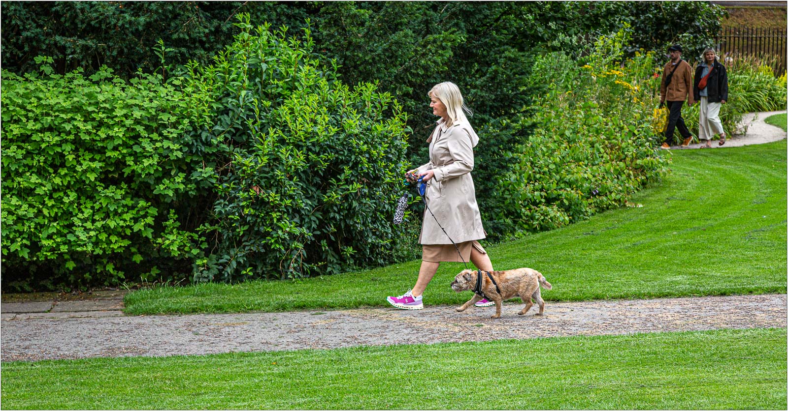 Dog Walking in Museum Gardens, Roger Poyser