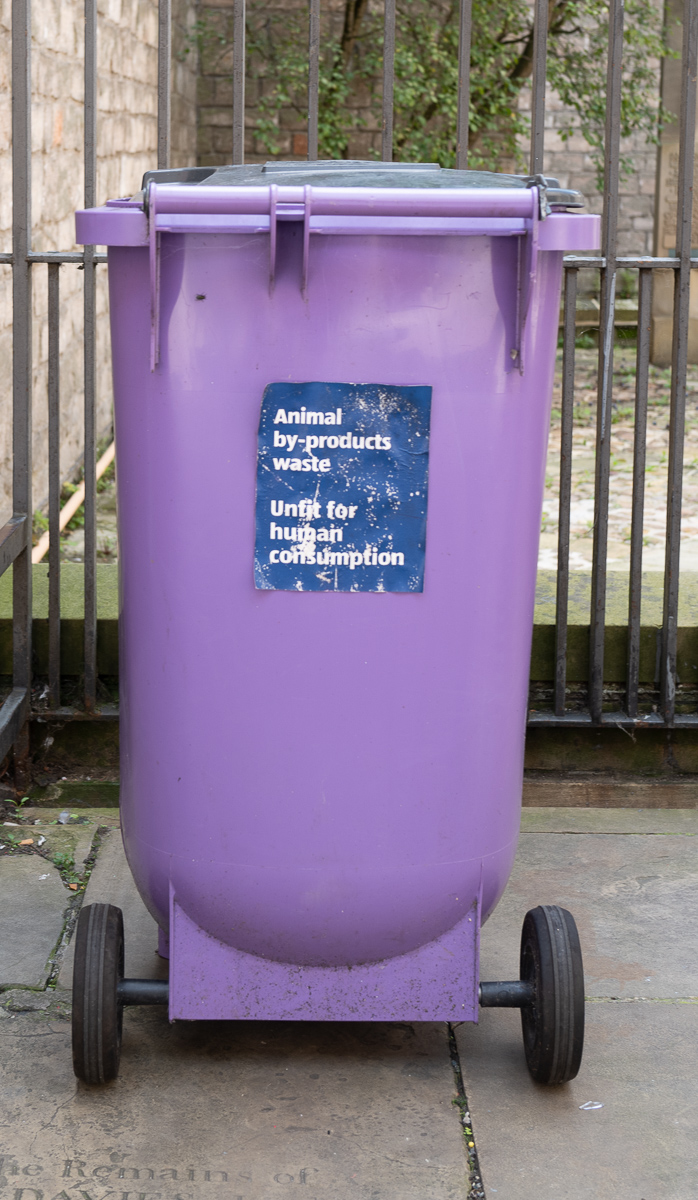 Purple waste bin, Philip Dearle