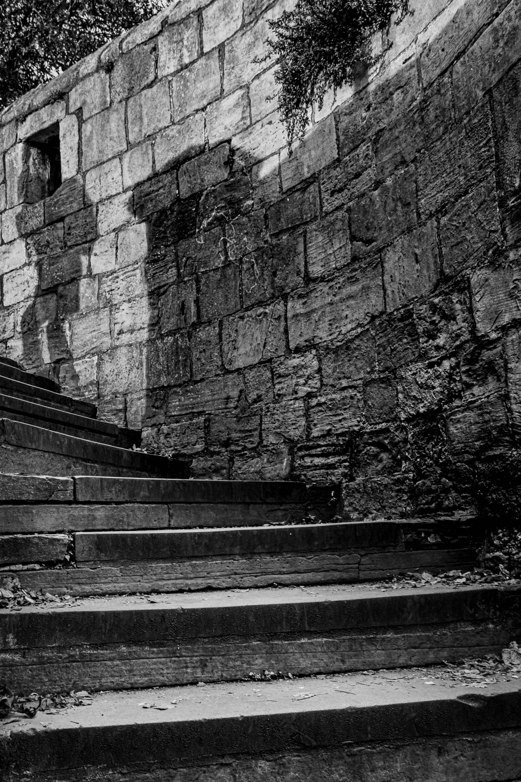 Shadows & steps, Bryan Torrington
