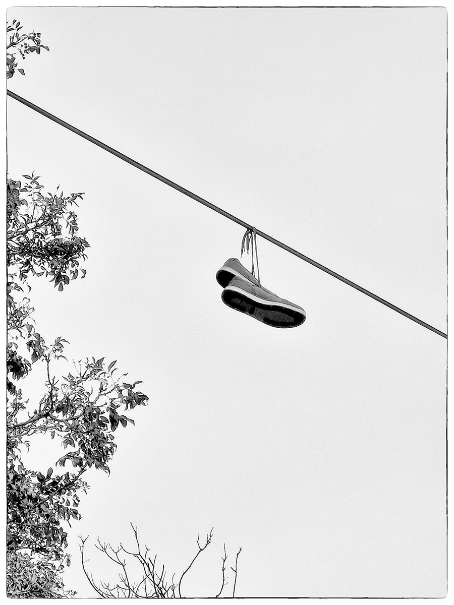 Suspended shoes, Sue Hoggett