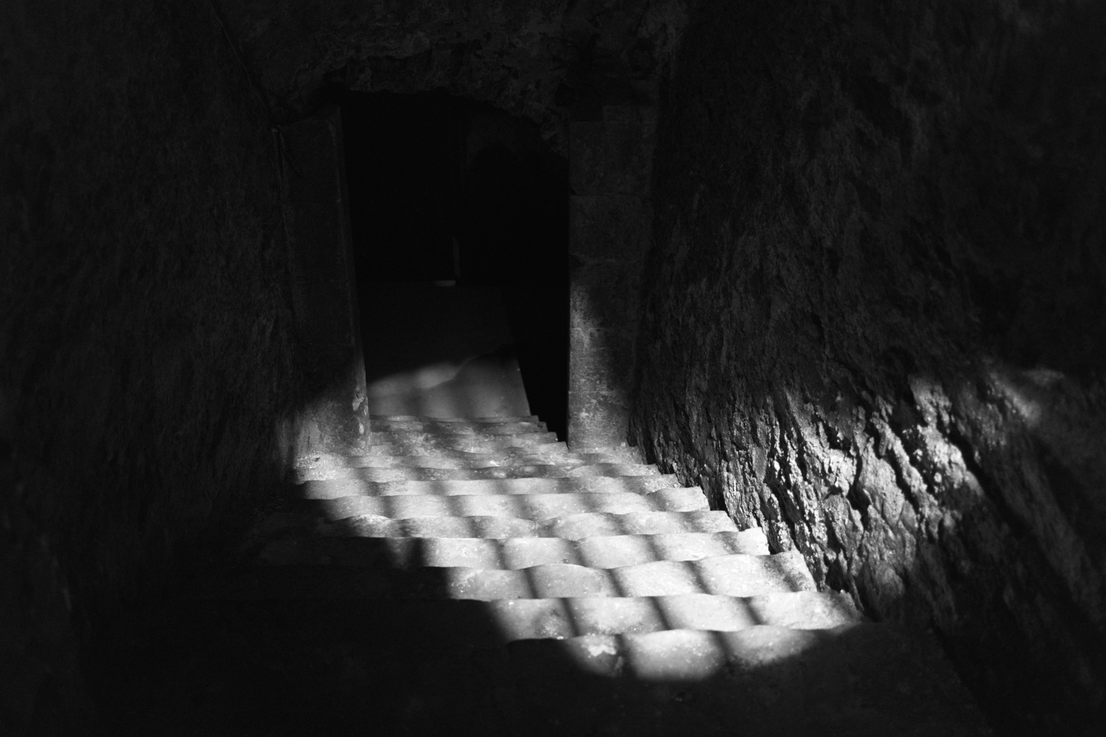 Cellar, David Bradley