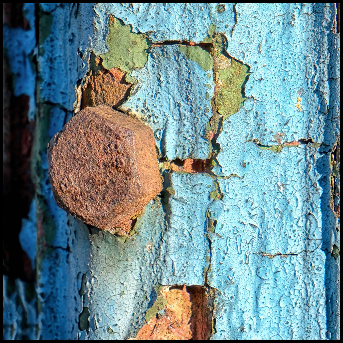 A rusty bolt out of the blue, Sue Hoggett