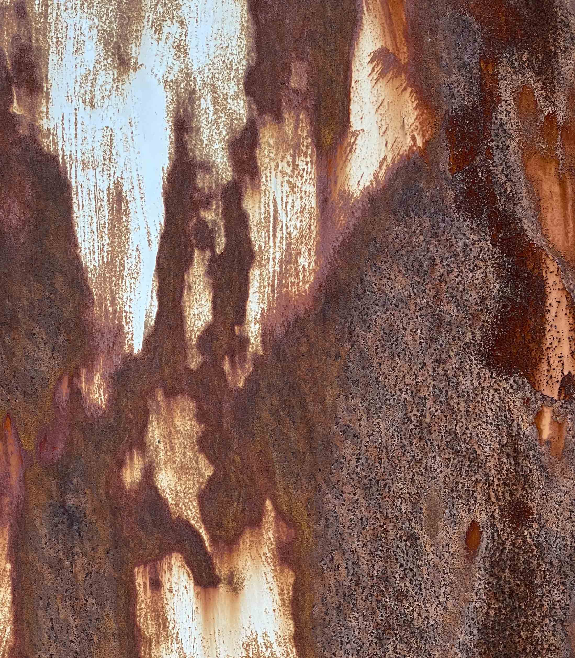 Rusty abstraction, Mike Chapman