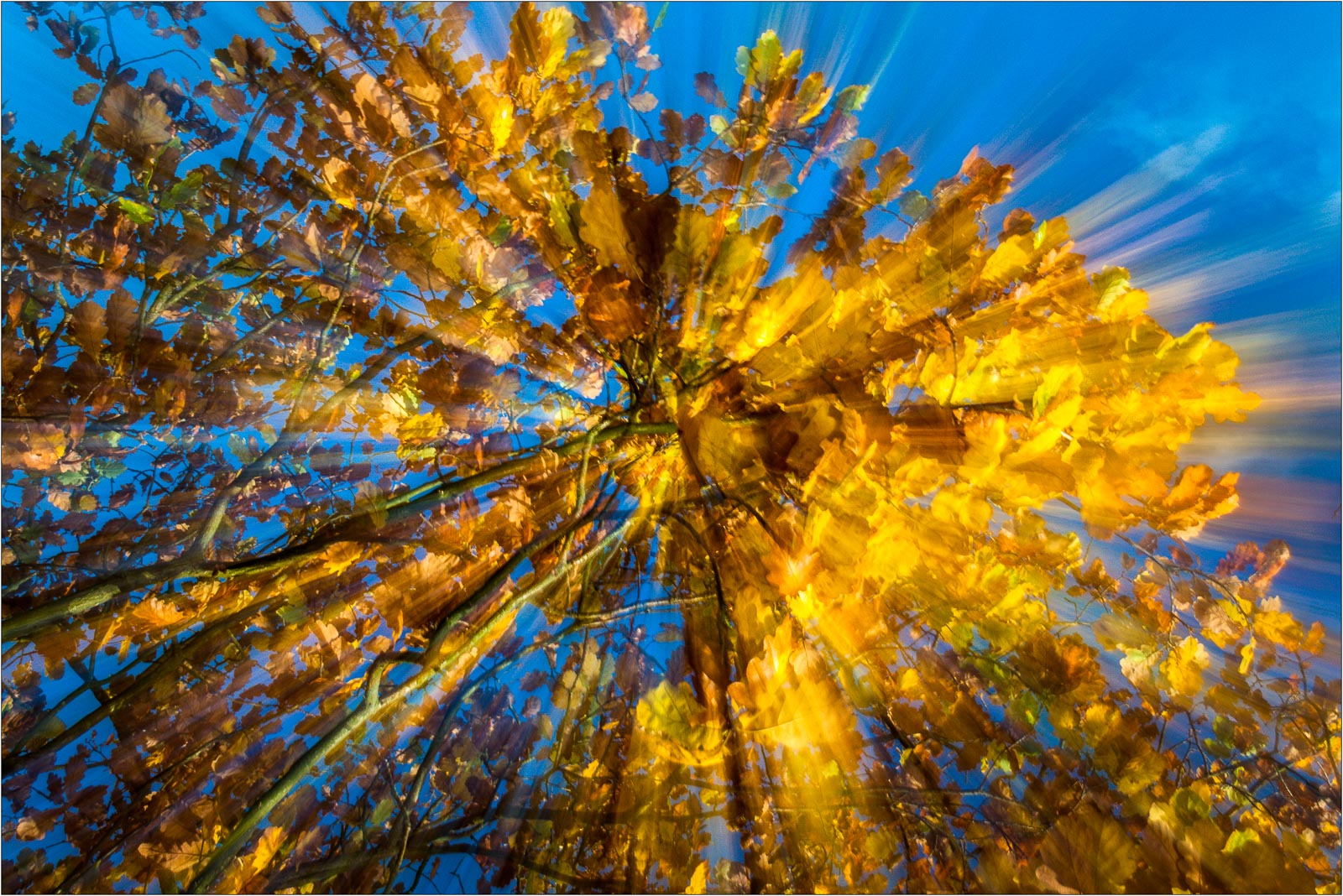 Autumn magic,  Roger Poyser