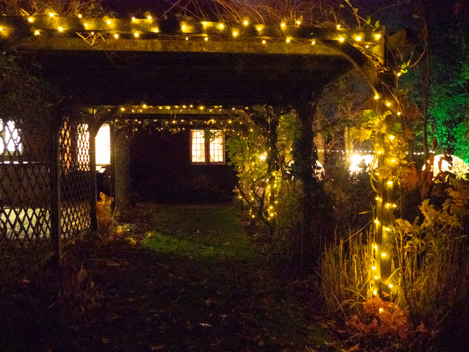 Fairy lights, Wendy Darley