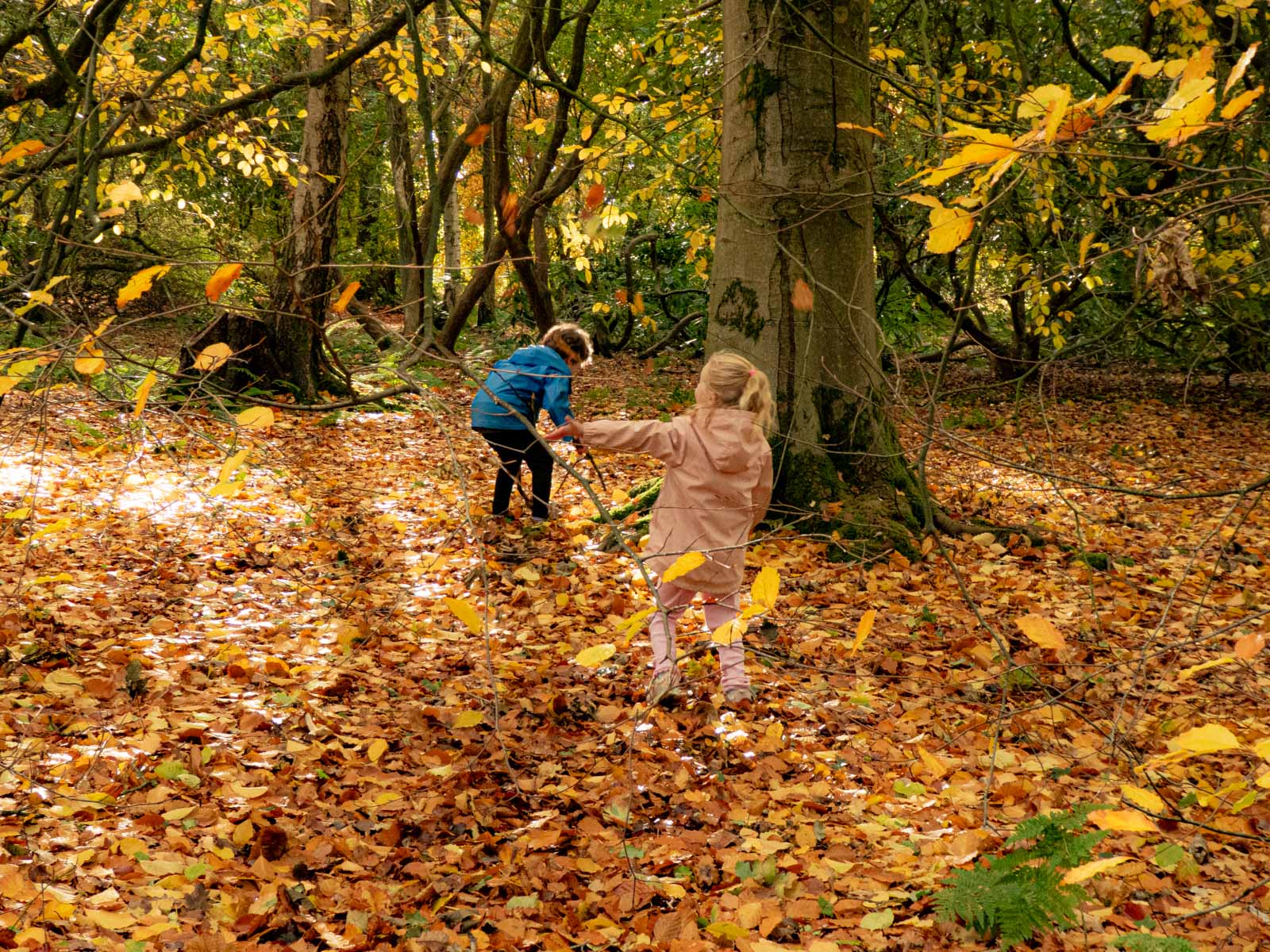 Magical dancing sprites, Wendy Darley