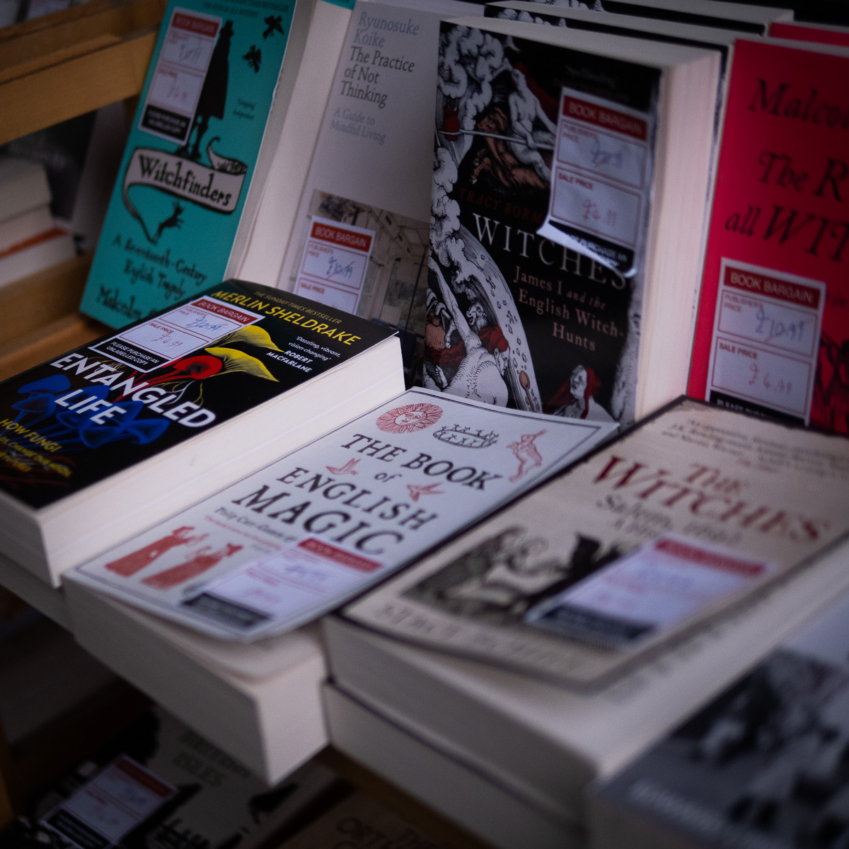 The magic of a good book,  Bryan Stanton